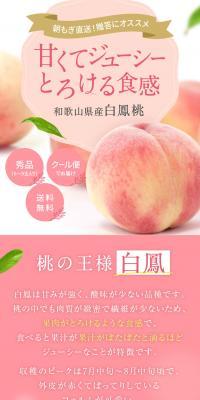 和歌山県産 白鳳桃
