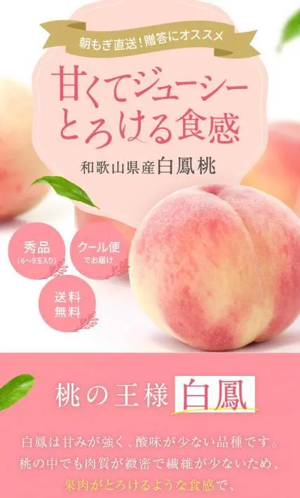 和歌山県産 白鳳桃｜株式会社Ryuki Design様のLP制作実績