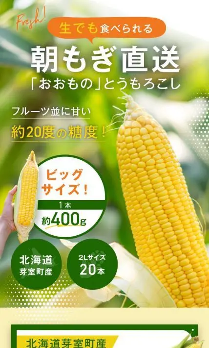 おおもの とうもろこし｜株式会社Ryuki Design様のLP制作実績