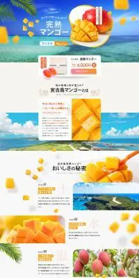 宮古島産 完熟マンゴーのLPデザイン（フルーツ・果物・野菜／グレー系／爽やか系）PC版