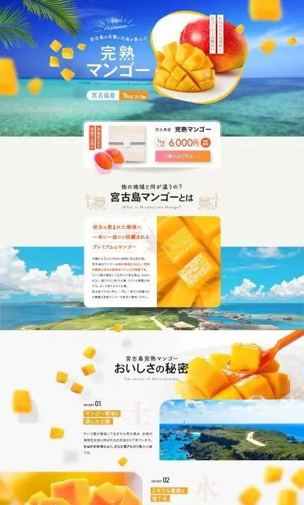 宮古島産 完熟マンゴー｜株式会社Ryuki Design様のLP制作実績