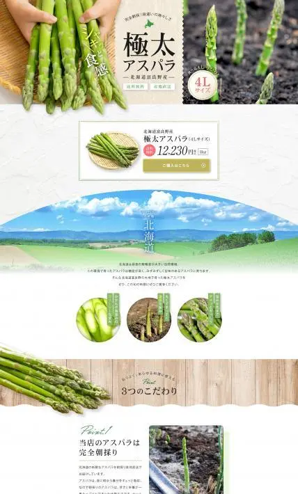 北海道富良野産 極太アスパラ｜株式会社Ryuki Design様のLP制作実績