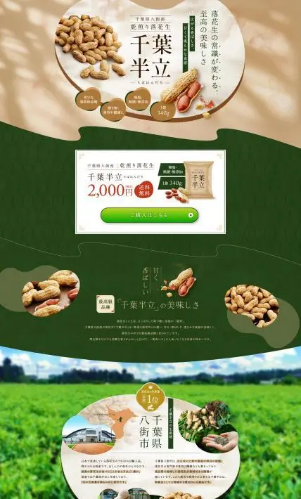千葉半立-ちばはんだち-｜株式会社Ryuki Design様のLP制作実績