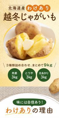 北海道産 わけあり 越冬じゃがいも