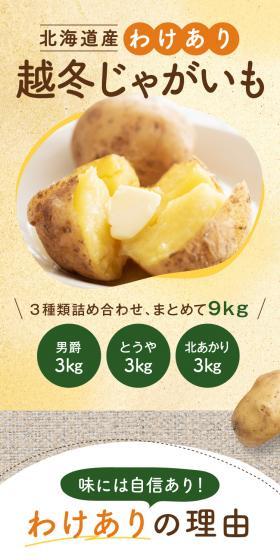 北海道産 わけあり 越冬じゃがいものLPデザイン（フルーツ・果物・野菜／グレー系／ナチュラル系）スマホ版