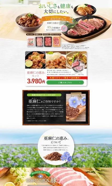亜麻仁の恵みシリーズ｜株式会社ニチレイフーズ様のLP制作実績