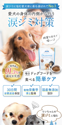 国産無添加 ドッグフードDrケアワンのLPデザイン（ペットフード ・ ペット用品／ブラック系／ナチュラル系）スマホ版