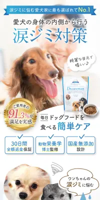 国産無添加 ドッグフードDrケアワンのLPデザイン（ペットフード ・ ペット用品／ブラック系／ナチュラル系）スマホ版