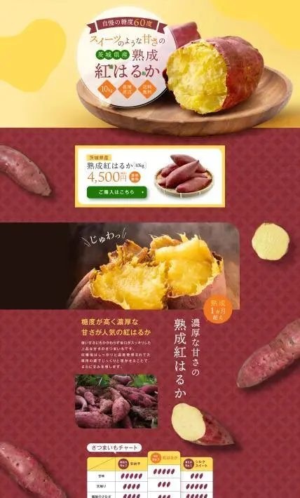 茨城県産 熟成紅はるか｜株式会社Ryuki Design様のLP制作実績