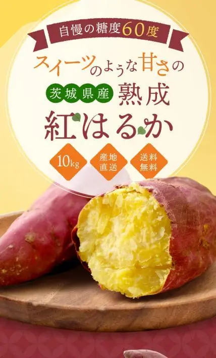 茨城県産 熟成紅はるか｜株式会社Ryuki Design様のLP制作実績