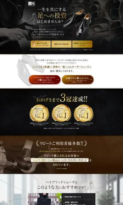 ハイブリッドシューズ提供サービス｜株式会社バンキフ様のLP制作実績