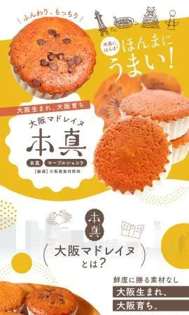 LP制作実績：菓子工房エリオス様（和菓子・洋菓子・スイーツ）大阪マドレイヌ 本間のランディングページ