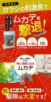 ムカデ対策 カラシでにげ～るのLPデザイン（玩具・ホビー・フィギュア／レッド系／にぎやか系）スマホ版