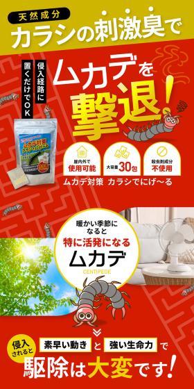 ムカデ対策 カラシでにげ～るのLPデザイン（玩具・ホビー・フィギュア／レッド系／にぎやか系）スマホ版