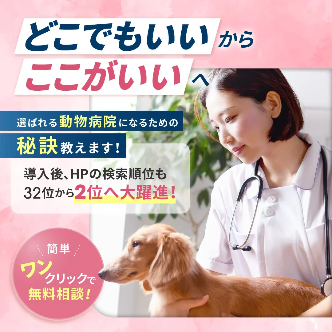 動物病院サプリバナーのデザイン制作実績（教材・サービス）