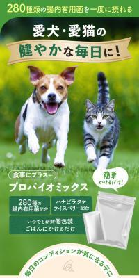 食事にプラス+プロバイオミックスのLPデザイン（ペットフード ・ ペット用品／ブラック系／ナチュラル系）スマホ版