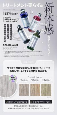 トリートメント要らずの新体感カラーシャンプーのLPデザイン（コスメ・化粧品・コンタクトレンズ／ブラウン系／キレイ系）スマホ版