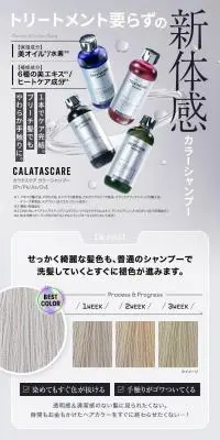 トリートメント要らずの新体感カラーシャンプーのLPデザイン（コスメ・化粧品・コンタクトレンズ／ブラウン系／キレイ系）スマホ版