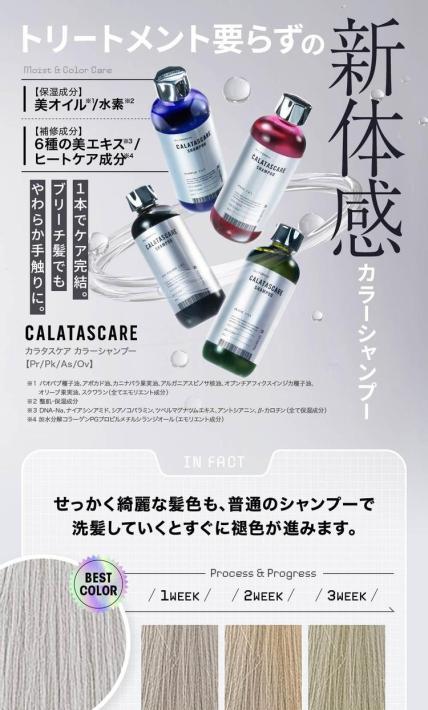 トリートメント要らずの新体感カラーシャンプー｜株式会社SHICA様のLP制作実績